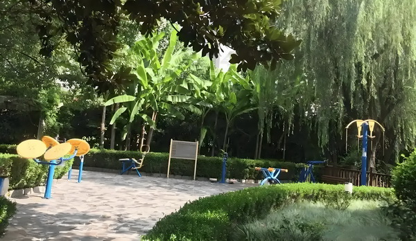 深圳市人才引进规定_新华社消息｜泰国代理总理28日赴马讨论泰柬边境问题 平时在公都住司宿舍